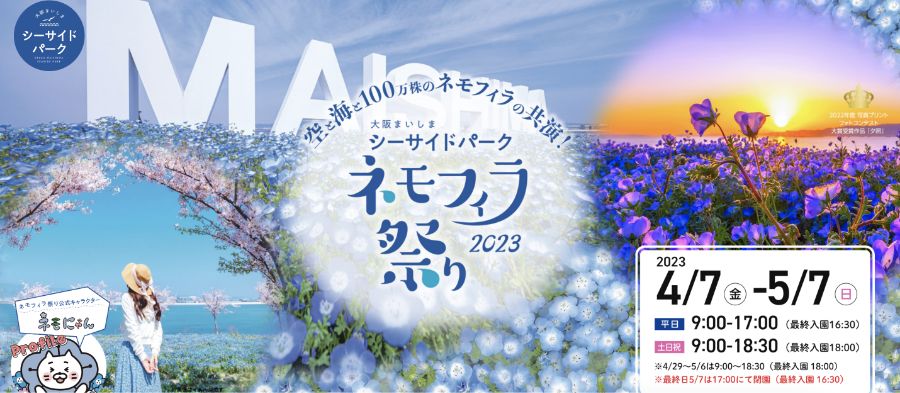 大阪　まいしまシーサイドパーク　ネモフィラ　アクセス　2023年