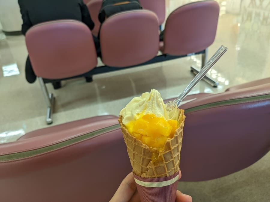 宮崎　お土産　マンゴーソフトクリーム