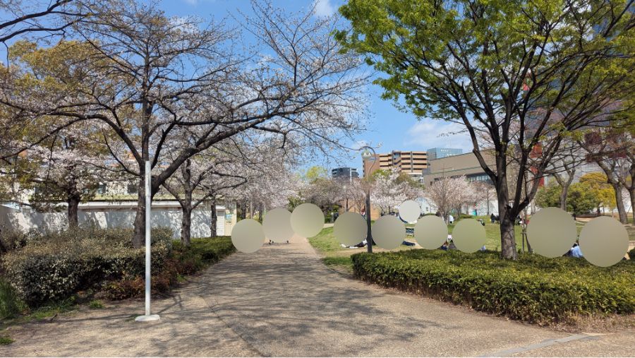 【2026年】扇町公園の桜の開花状況を見に行ってきました